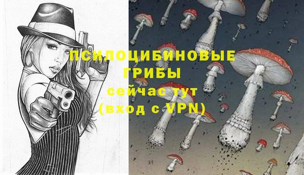 эйфоретик Горнозаводск